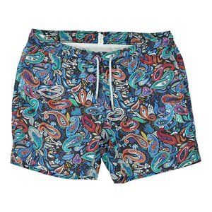 Bluemint Swim Short‎ Classic Signature Arthus Paisley Print Mens Small
